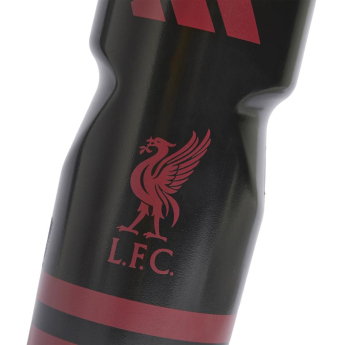 Liverpool bidon Bottle black