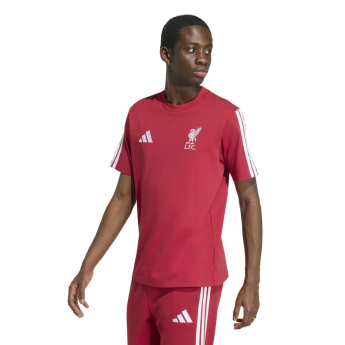 Liverpool koszulka męska DNA Tee active