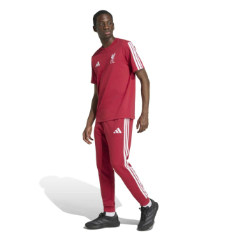 Liverpool koszulka męska DNA Tee active