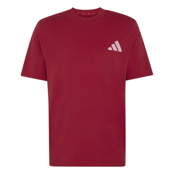 Liverpool koszulka męska Seasonal red