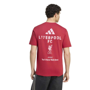 Liverpool koszulka męska Seasonal red