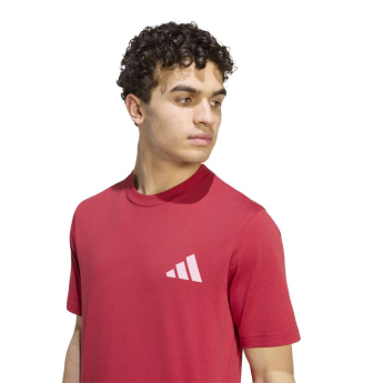 Liverpool koszulka męska Seasonal red