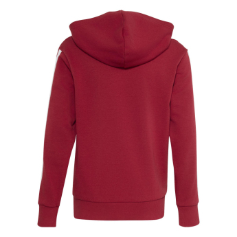 Liverpool dziecięca bluza z kapturem Hoody active