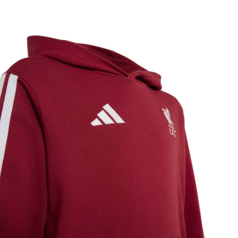 Liverpool dziecięca bluza z kapturem Hoody active