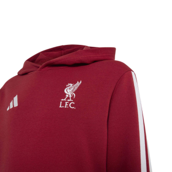 Liverpool dziecięca bluza z kapturem Hoody active