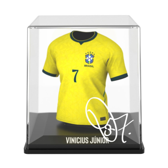 Reprezentacja piłki nożnej Box MyJersey Brazil Vini Jr 2026