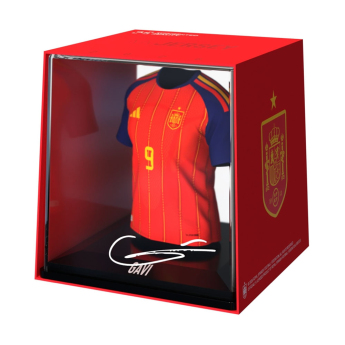 Reprezentacja piłki nożnej Box MyJersey Spain Box MyJersey
