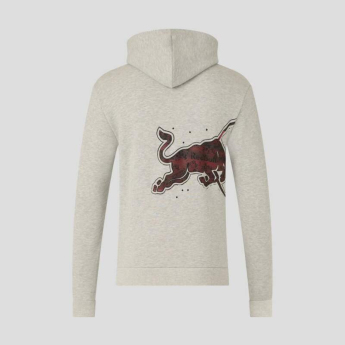 Red Bull Racing męska bluza z kapturem graphic gray F1 Team 2026