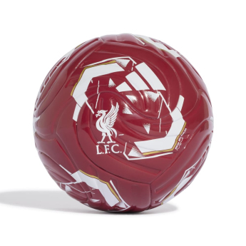 Liverpool piłka Club Home