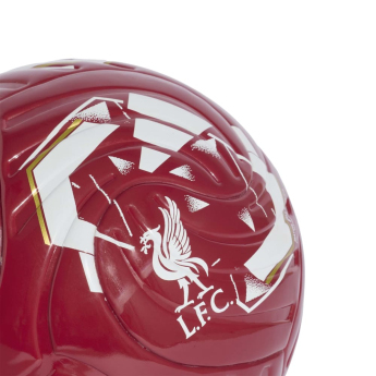 Liverpool piłka Club Home