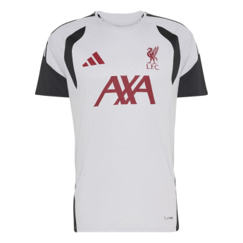 Liverpool piłkarska koszulka meczowa Tiro grey