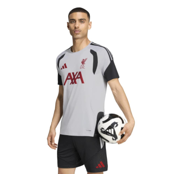 Liverpool piłkarska koszulka meczowa Tiro grey