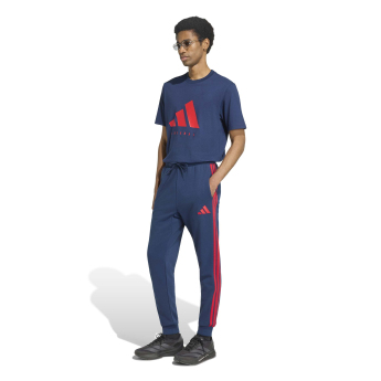 Arsenal koszulka męska DNA Graphic navy