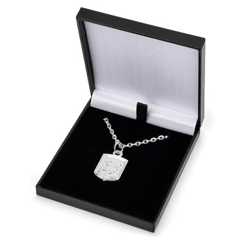 Aston Vila naszyjnik z zawieszką Silver Plated Boxed Pendant CR
