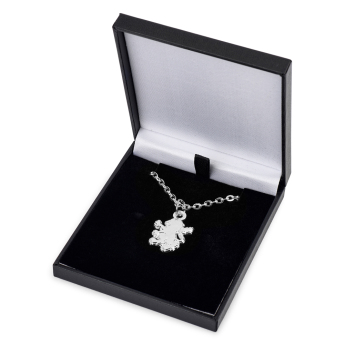 Aston Vila naszyjnik z zawieszką Silver Plated Boxed Pendant LN