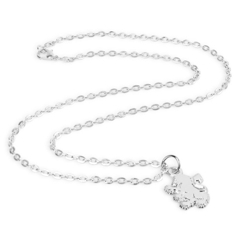 Aston Vila naszyjnik z zawieszką Silver Plated Boxed Pendant LN