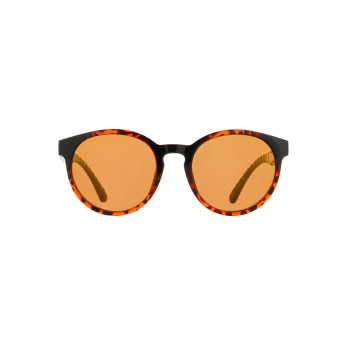 Red Bull Racing okulary przeciwsłoneczne EVER brown-black with brown lenses
