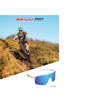 Red Bull Racing okulary przeciwsłoneczne DAKOTA black with purple green glass