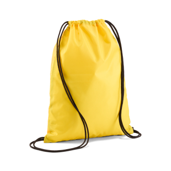 Borusia Dortmund worek na buty Essential Stripe