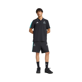 Mercedes AMG Petronas męska koszulka polo DNA black F1 Team 2026