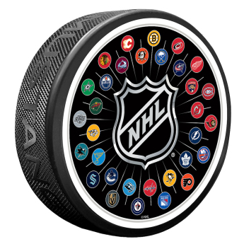 NHL produkty krążek NHL 32 Team Logos Puck