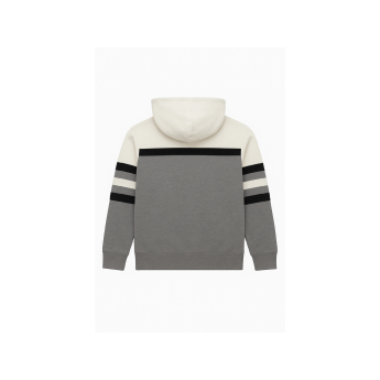 Chicago Blackhawks męska bluza z kapturem Head Coach Hoodie Current Logo grey