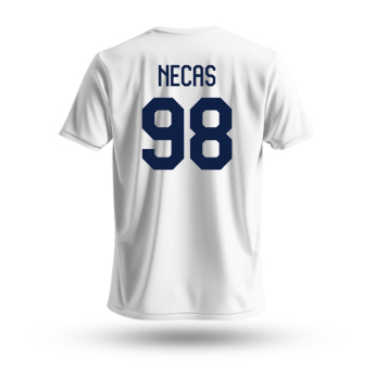 Reprezentacje hokejowe koszulka męska Czech republic Martin Nečas #98 National Emblem 2025 white