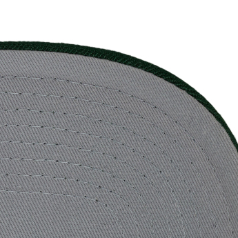 Minnesota Wild czapka baseballówka Tailsweeps Pro Snapback