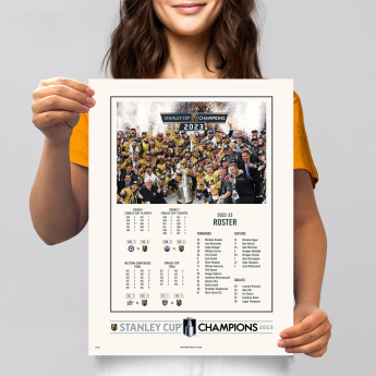 Vegas Golden Knights plakat NHL Stanley Cup Champions 12” x 16” Stats & Roster
