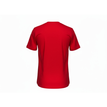 Detroit Red Wings koszulka dziecięca Apro Wordmark Ss Ctn Tee