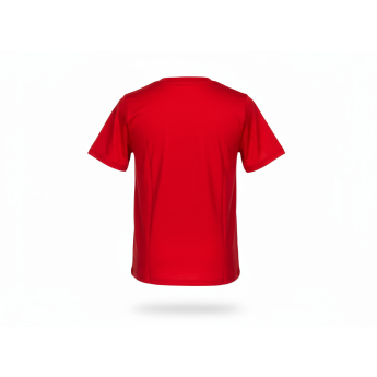 Chicago Blackhawks koszulka dziecięca Apro Wordmark Ss Ctn Tee red