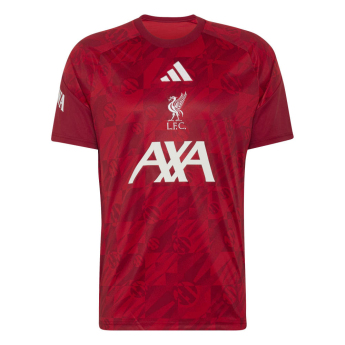 Liverpool piłkarska koszulka meczowa 26/27 Prematch away