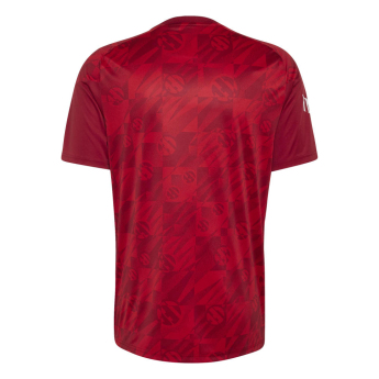 Liverpool piłkarska koszulka meczowa 26/27 Prematch away
