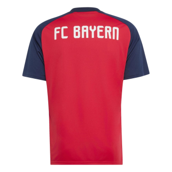 Bayern Monachium piłkarska koszulka meczowa 26/27 Prematch away