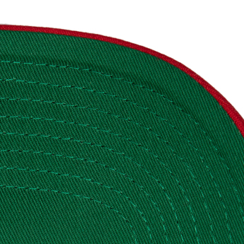 Ottawa Senators czapka baseballówka Team Ground 2.0 Pro Snapback