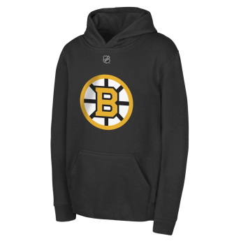 Boston Bruins dziecięca bluza z kapturem David Pastrnak #88 NHL Flat Name & Number Fleece