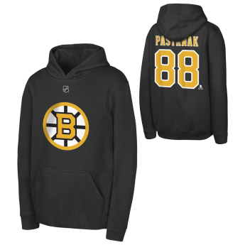 Boston Bruins dziecięca bluza z kapturem David Pastrnak #88 NHL Flat Name & Number Fleece