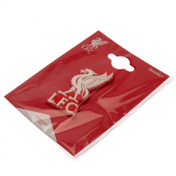 Liverpool magneski 3D Fridge Magnet