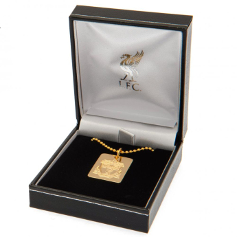 Liverpool naszyjnik z zawieszką Gold Plated Dog Tag & Chain