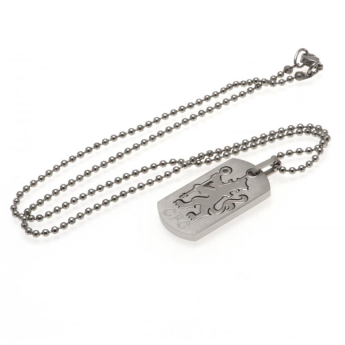 Chelsea naszyjnik z zawieszką Dog Tag & Chain CO