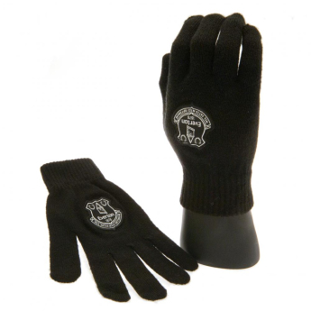 FC Everton rękawice dziecięce Knitted Gloves Junior