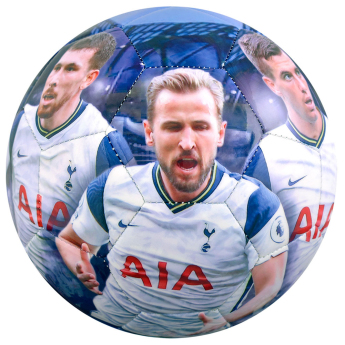 Tottenham piłka players photo football
