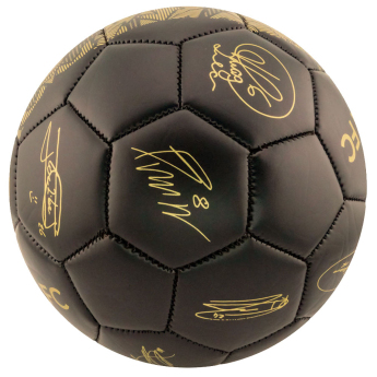 Chelsea piłka Signature Gold PH - size 5