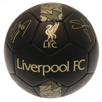 Liverpool piłka Signature Gold PH - size 5