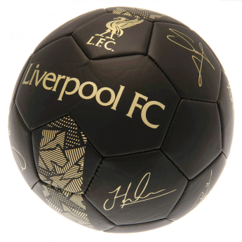 Liverpool piłka Signature Gold PH - size 5