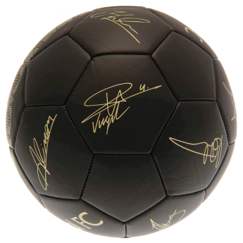 Liverpool piłka Signature Gold PH - size 5
