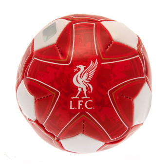 Liverpool miękka piłka 4 inch Soft Ball