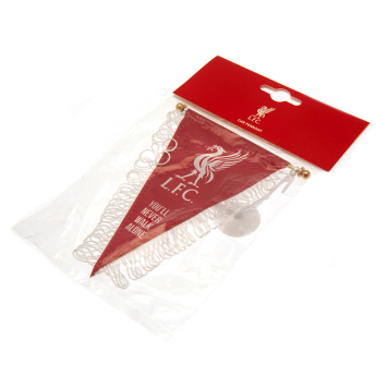 Liverpool flaga Triangular Mini Pennant