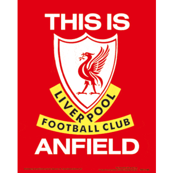 Liverpool 3D obrazek 3D Print
