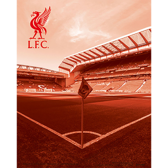 Liverpool 3D obrazek 3D Print